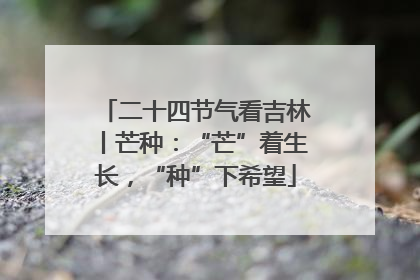 二十四节气看吉林丨芒种：“芒”着生长，“种”下希望