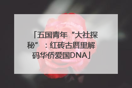 五国青年“大社探秘”：红砖古厝里解码华侨爱国DNA
