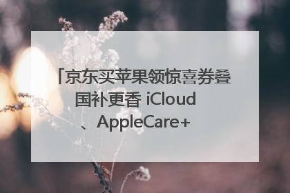 京东买苹果领惊喜券叠国补更香 iCloud、AppleCare+服务限时低至85折