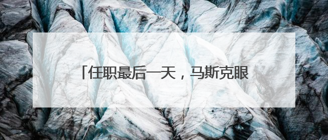 任职最后一天，马斯克眼角淤青出现在白宫……