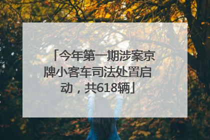 今年第一期涉案京牌小客车司法处置启动，共618辆