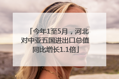 今年1至5月，河北对中亚五国进出口总值同比增长1.1倍
