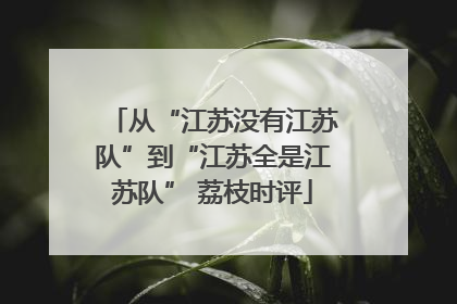 从“江苏没有江苏队”到“江苏全是江苏队” 荔枝时评