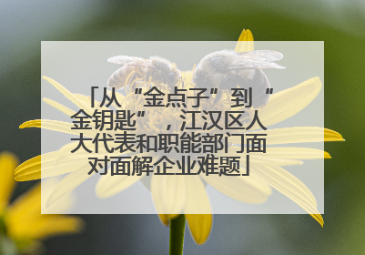 从“金点子”到“金钥匙”，江汉区人大代表和职能部门面对面解企业难题