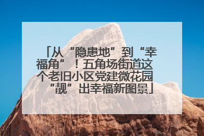 从“隐患地”到“幸福角”！五角场街道这个老旧小区党建微花园“靓”出幸福新图景