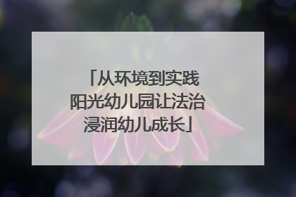 从环境到实践 阳光幼儿园让法治浸润幼儿成长