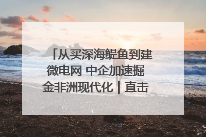 从买深海鳀鱼到建微电网 中企加速掘金非洲现代化｜直击中非经贸博览会