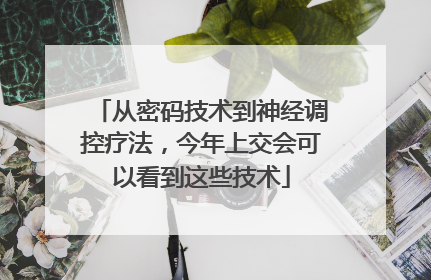 从密码技术到神经调控疗法，今年上交会可以看到这些技术