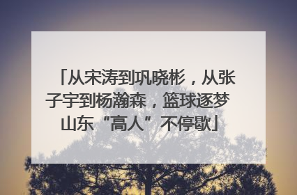 从宋涛到巩晓彬，从张子宇到杨瀚森，篮球逐梦山东“高人”不停歇