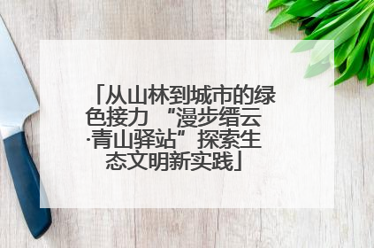 从山林到城市的绿色接力 “漫步缙云·青山驿站”探索生态文明新实践