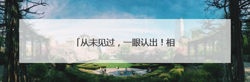 从未见过，一眼认出！相隔65年的相见令人动容