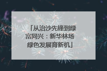 从治沙先锋到绿富同兴：新华林场绿色发展育新机