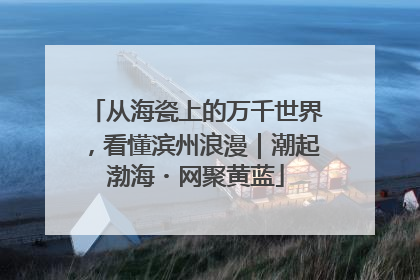 从海瓷上的万千世界，看懂滨州浪漫｜潮起渤海・网聚黄蓝