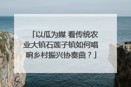 以瓜为媒 看传统农业大镇石莲子镇如何唱响乡村振兴协奏曲？