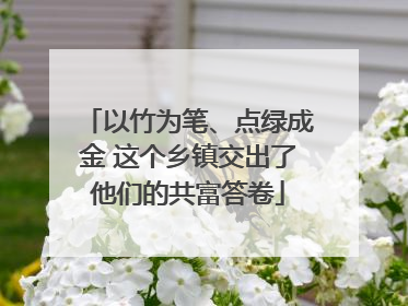 以竹为笔、点绿成金 这个乡镇交出了他们的共富答卷