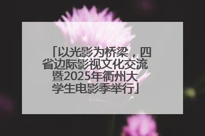 以光影为桥梁，四省边际影视文化交流暨2025年衢州大学生电影季举行