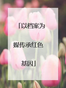 以档案为媒传承红色基因