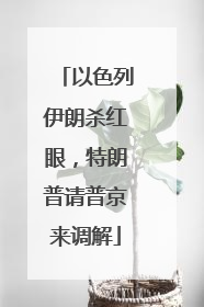 以色列伊朗杀红眼，特朗普请普京来调解