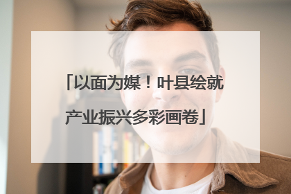 以面为媒！叶县绘就产业振兴多彩画卷