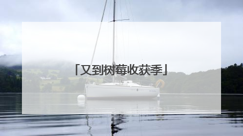 又到树莓收获季