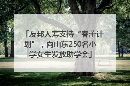 友邦人寿支持“春蕾计划”，向山东250名小学女生发放助学金