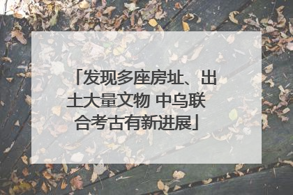 发现多座房址、出土大量文物 中乌联合考古有新进展