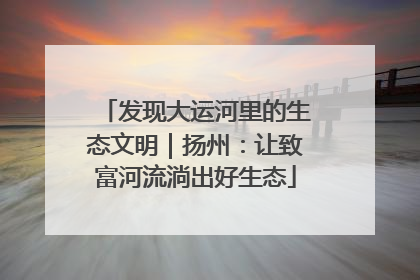 发现大运河里的生态文明｜扬州：让致富河流淌出好生态