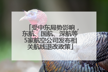 受中东局势影响，东航、国航、深航等5家航空公司发布相关航线退改政策