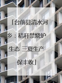 台前县清水河乡：秸秆禁烧护生态 三夏生产保丰收