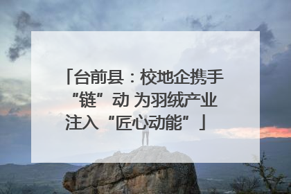 台前县：校地企携手“链”动 为羽绒产业注入“匠心动能”