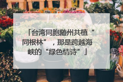 台湾同胞随州共植“同根林”，那是跨越海峡的“绿色情诗”