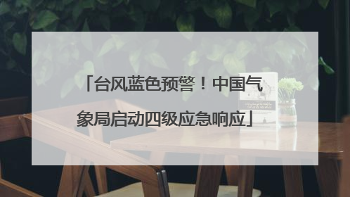 台风蓝色预警！中国气象局启动四级应急响应