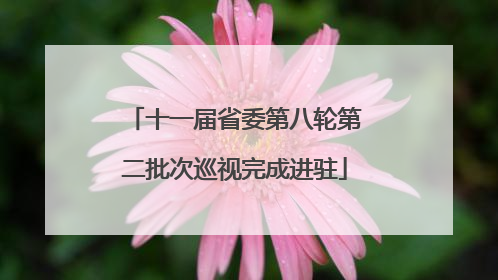 十一届省委第八轮第二批次巡视完成进驻