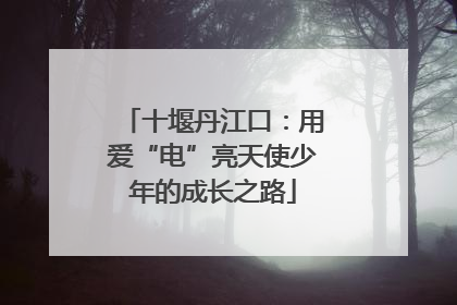 十堰丹江口：用爱“电”亮天使少年的成长之路