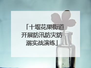 十堰花果街道开展防汛防灾防溺实战演练