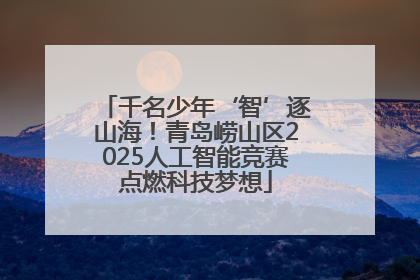 千名少年‘智’逐山海！青岛崂山区2025人工智能竞赛点燃科技梦想