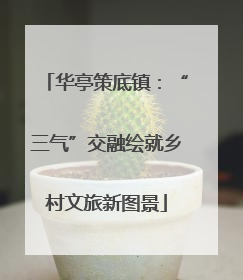 华亭策底镇：“三气”交融绘就乡村文旅新图景