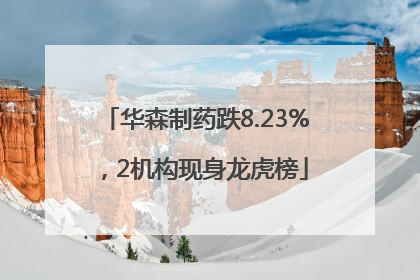 华森制药跌8.23%，2机构现身龙虎榜