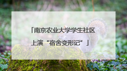 南京农业大学学生社区上演“宿舍变形记”