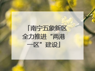 南宁五象新区全力推进“两港一区”建设