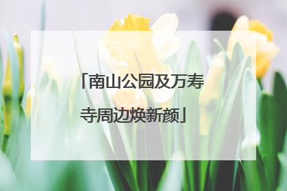 南山公园及万寿寺周边焕新颜