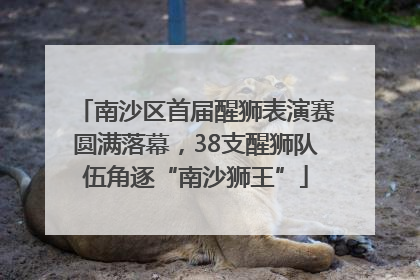 南沙区首届醒狮表演赛圆满落幕，38支醒狮队伍角逐“南沙狮王”