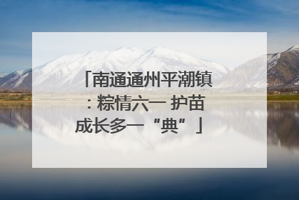 南通通州平潮镇：粽情六一 护苗成长多一“典”
