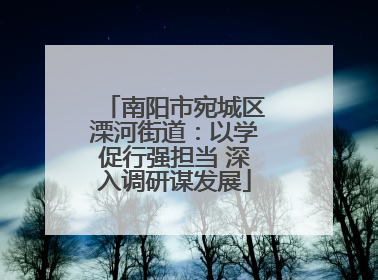 南阳市宛城区溧河街道：以学促行强担当 深入调研谋发展