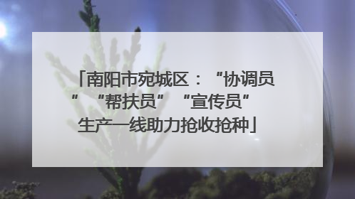南阳市宛城区：“协调员”“帮扶员”“宣传员” 生产一线助力抢收抢种