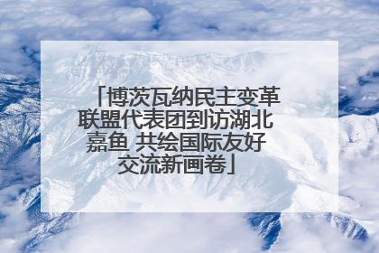 博茨瓦纳民主变革联盟代表团到访湖北嘉鱼 共绘国际友好交流新画卷
