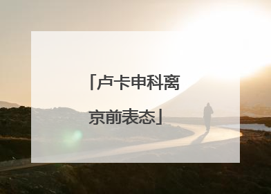 卢卡申科离京前表态