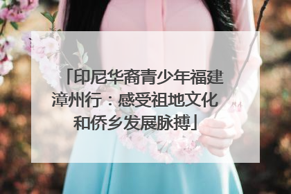 印尼华裔青少年福建漳州行：感受祖地文化和侨乡发展脉搏