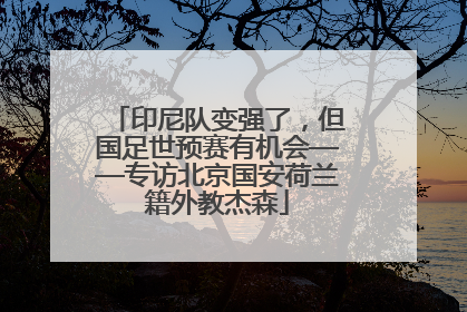 印尼队变强了，但国足世预赛有机会——专访北京国安荷兰籍外教杰森