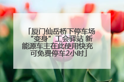 厦门仙岳桥下停车场“变身”工会驿站 新能源车主在此使用快充 可免费停车2小时